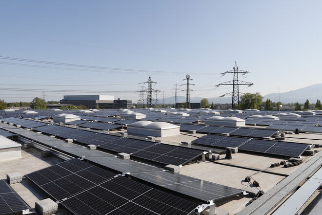Ein Flachdach mit zahlreichen Solarpaneelen, die in Reihen angeordnet sind. Im Hintergrund sind Strommasten, Bäume und ein klarer Himmel zu sehen. Ein Flachdach mit zahlreichen Solarpaneelen, die in Reihen angeordnet sind. Im Hintergrund sind Strommasten, Bäume und ein klarer Himmel zu sehen.